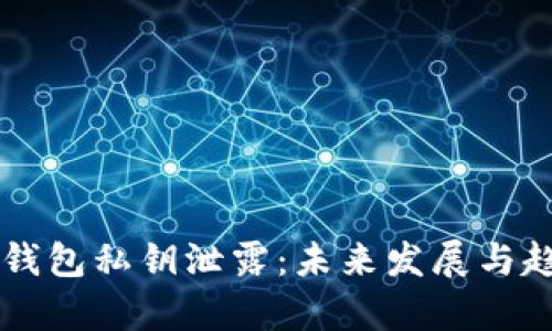 以太坊钱包私钥泄露：未来发展与趋势解析