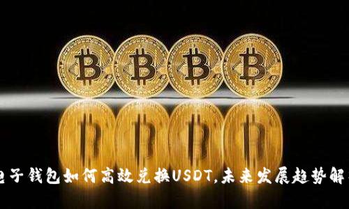 电子钱包如何高效兑换USDT,未来发展趋势解析