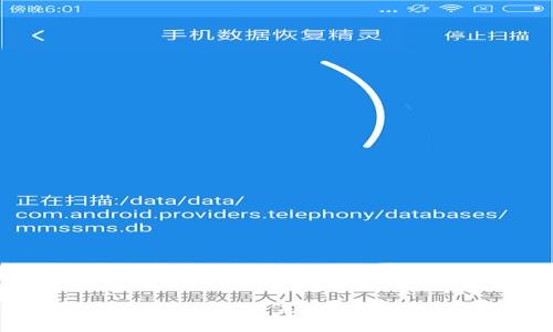 狗狗币官网钱包安全性分析：未来发展趋势与用户保护指南
