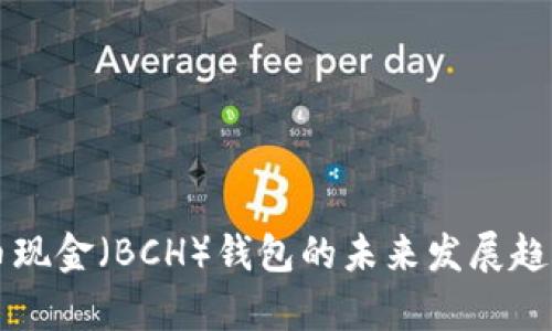 比特币现金（BCH）钱包的未来发展趋势分析