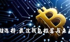 狗狗币存储选择：最佳钱包推荐与未来