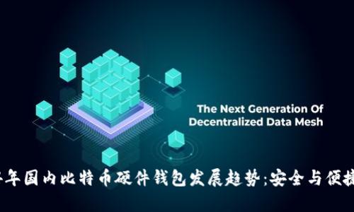 2024年国内比特币硬件钱包发展趋势:安全与便捷并存