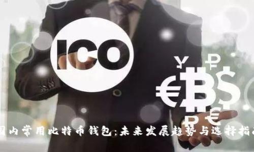 国内常用比特币钱包：未来发展趋势与选择指南