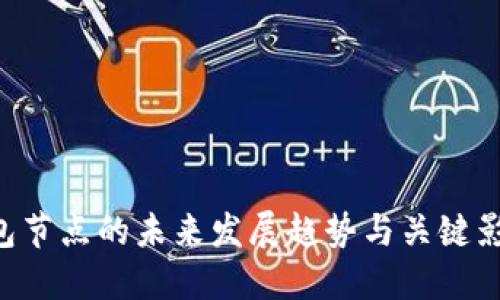 SOL钱包节点的未来发展趋势与关键影响因素