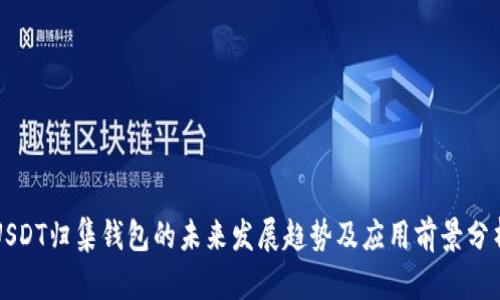 USDT归集钱包的未来发展趋势及应用前景分析
