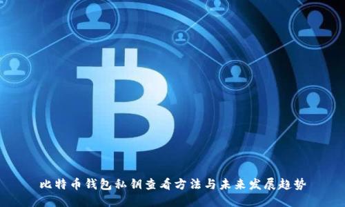 比特币钱包私钥查看方法与未来发展趋势