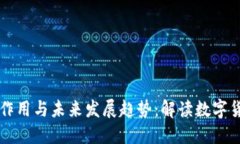 比特币钱包的作用与未来发展趋势：解