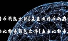如何找回丢失的比特币钱包文件？未来