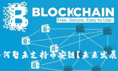 TP钱包为何暂未支持币安链?未来发展趋势分析