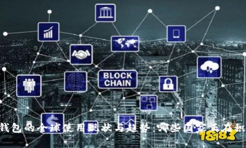 : USDT钱包的全球使用现状与趋势：哪些国家正在积极应用？