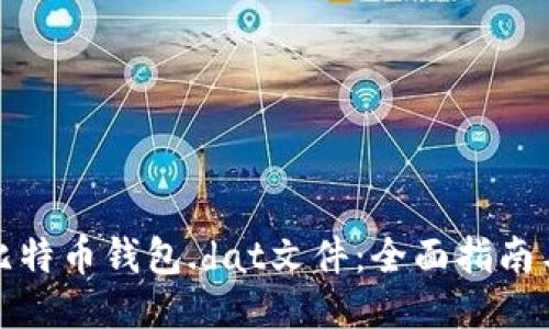 如何打开比特币钱包.dat文件：全面指南与未来趋势