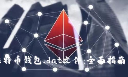 如何打开比特币钱包.dat文件：全面指南与未来趋势