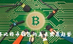 ben2024年比特币钱包的未来发展趋势与
