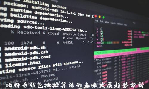 比特币钱包地址算法的未来发展趋势分析