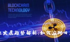 比特币钱包的未来发展趋势解析：如何