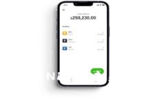 TP钱包能转NFT的未来趋势与发展