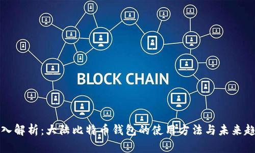深入解析:大陆比特币钱包的使用方法与未来趋势