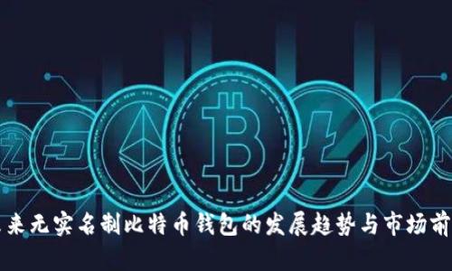 未来无实名制比特币钱包的发展趋势与市场前景