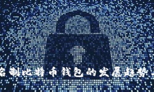 未来无实名制比特币钱包的发展趋势与市场前景