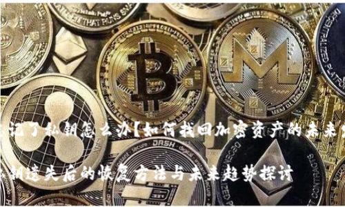 tp钱包忘记了私钥怎么办?如何找回加密资产的未来发展趋势
tp钱包私钥遗失后的恢复方法与未来趋势探讨