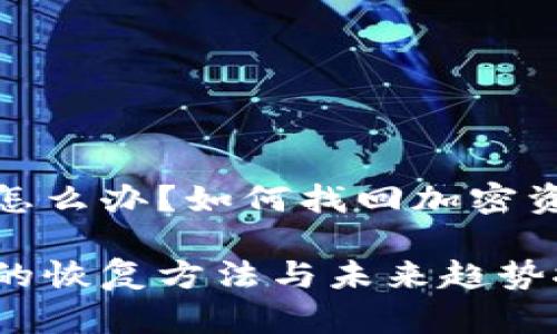 tp钱包忘记了私钥怎么办?如何找回加密资产的未来发展趋势
tp钱包私钥遗失后的恢复方法与未来趋势探讨