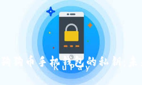 beraoti如何安全查看狗狗币手机钱包的私钥：未来发展趋势与注意事项