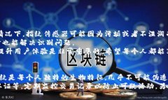 在TP钱包中设置指纹支付是一项非常实