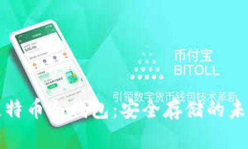 深入探索比特币冷钱包:安全存储的未来发展趋势