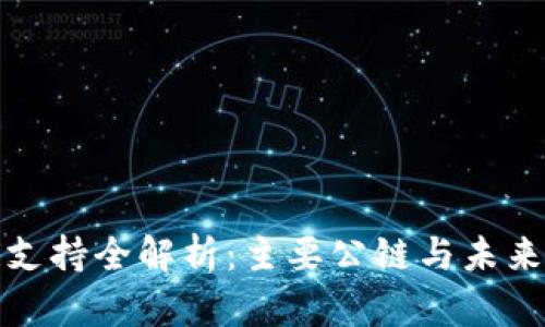 TP钱包链支持全解析：主要公链与未来发展趋势