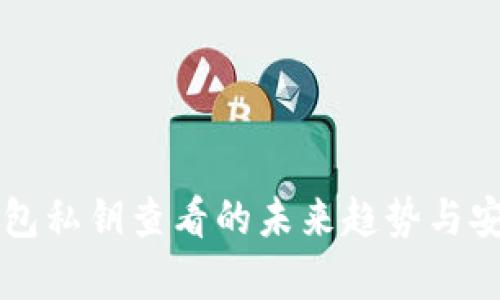比特币钱包私钥查看的未来趋势与安全性分析