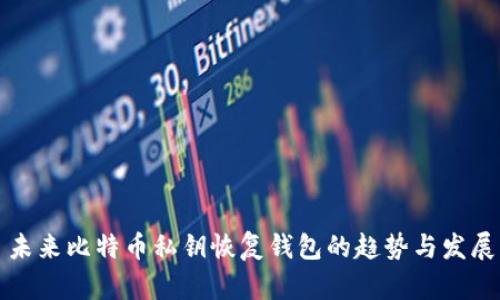 未来比特币私钥恢复钱包的趋势与发展