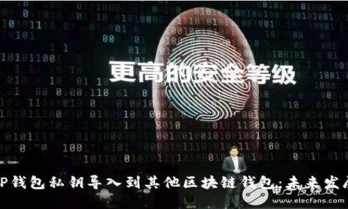 如何将TP钱包私钥导入到其他区块链钱包:未来发展与趋势