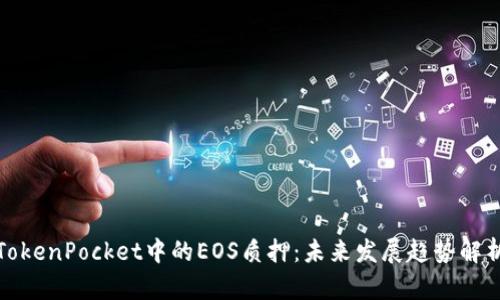 TokenPocket中的EOS质押:未来发展趋势解析