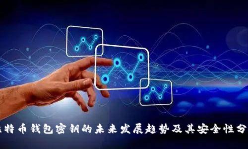 比特币钱包密钥的未来发展趋势及其安全性分析