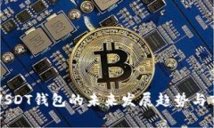 土耳其USDT钱包的未来发展趋势与市场