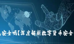 狗狗币放钱包安全吗？深度解析数字货
