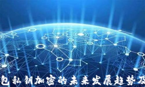 以太坊钱包私钥加密的未来发展趋势及安全方法