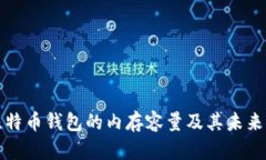 ### 比特币钱包的内存容量及其未来发