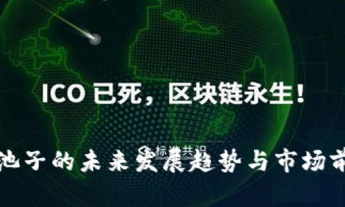 TP钱包池子的未来发展趋势与市场前景分析
