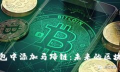如何在TP钱包中添加马蹄链：未来的区