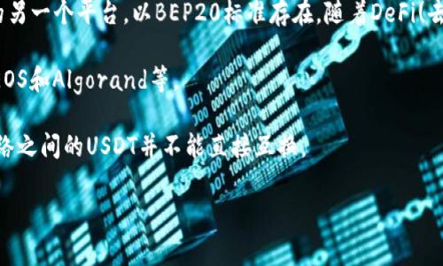 在TP钱包中，USDT可以存在于多个区块链网络上。以下是常见的几个网络：

1. **Ethereum (ERC20)**：最初的USDT主要是基于以太坊网络的ERC20标准。这意味着用户可以在以太坊区块链上发送和接收USDT，并且可以利用以太坊的智能合约特性。

2. **Tron (TRC20)**：随着Tron网络的快速发展，USDT也在Tron区块链上推出了TRC20版本。Tron以其高吞吐量和低交易费用而受到欢迎，因此许多用户选择在该网络上使用USDT。

3. **Binance Smart Chain (BEP20)**：Binance智能链也是支持USDT的另一个平台，以BEP20标准存在。随着DeFi(去中心化金融)的兴起，许多用户在BSC上进行交易和流动性挖掘时使用USDT。

4. **其他网络**：USDT还可以在其他一些区块链网络上流通，例如Solana、EOS和Algorand等。

如果您在TP钱包中查看USDT，建议您确认您选择的是哪个网络，因为不同网络之间的USDT并不能直接互换。

希望以上信息能帮助到您！如果有任何其他问题，欢迎继续提问。